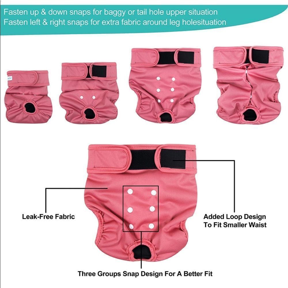 ✨4xHP✨Paw Legend Reusable Female Dog Diapers✨ - Picture 4 of 6